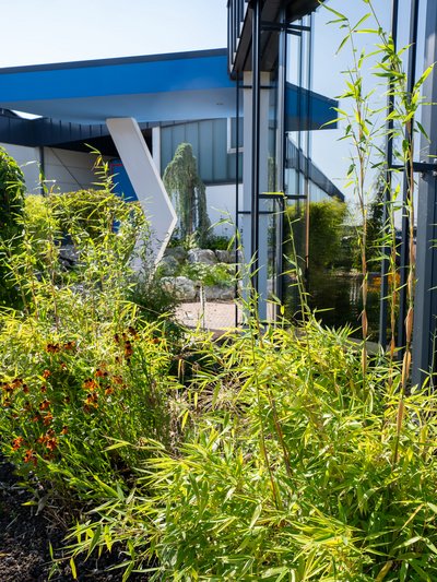 Firmengebäude hinter grünen Pflanzen