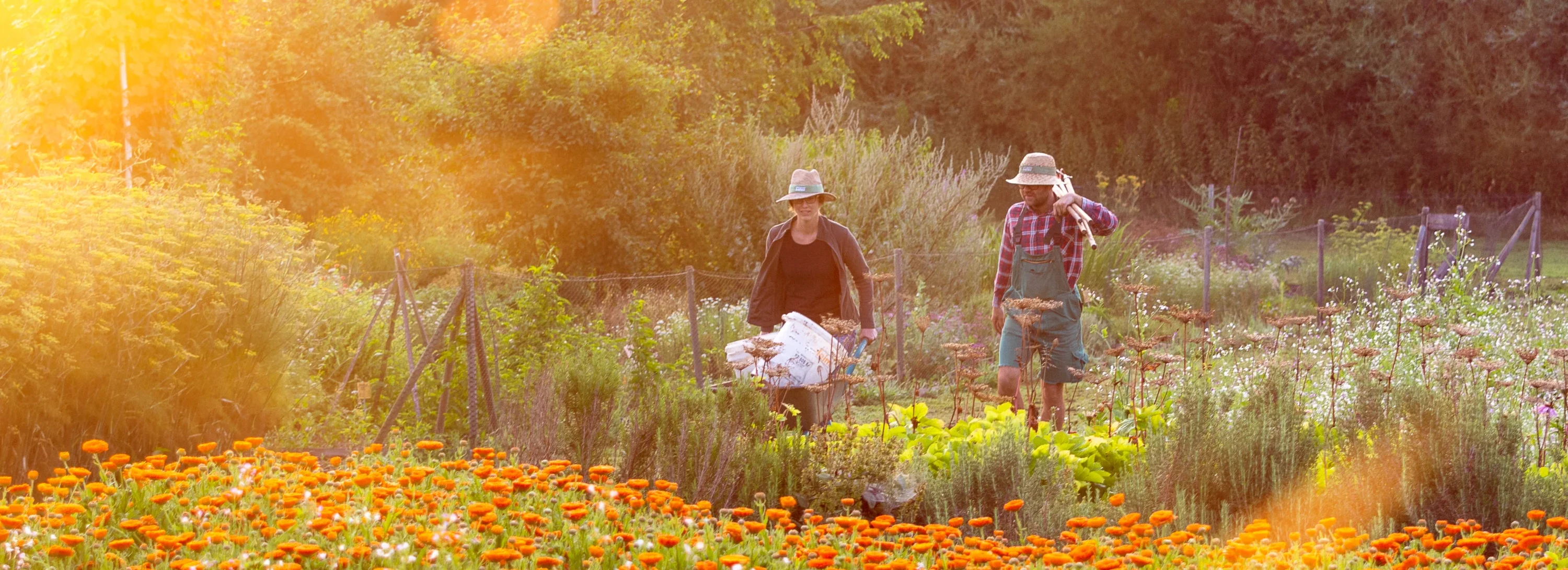 Zwei Menschen arbeiten in einem Garten