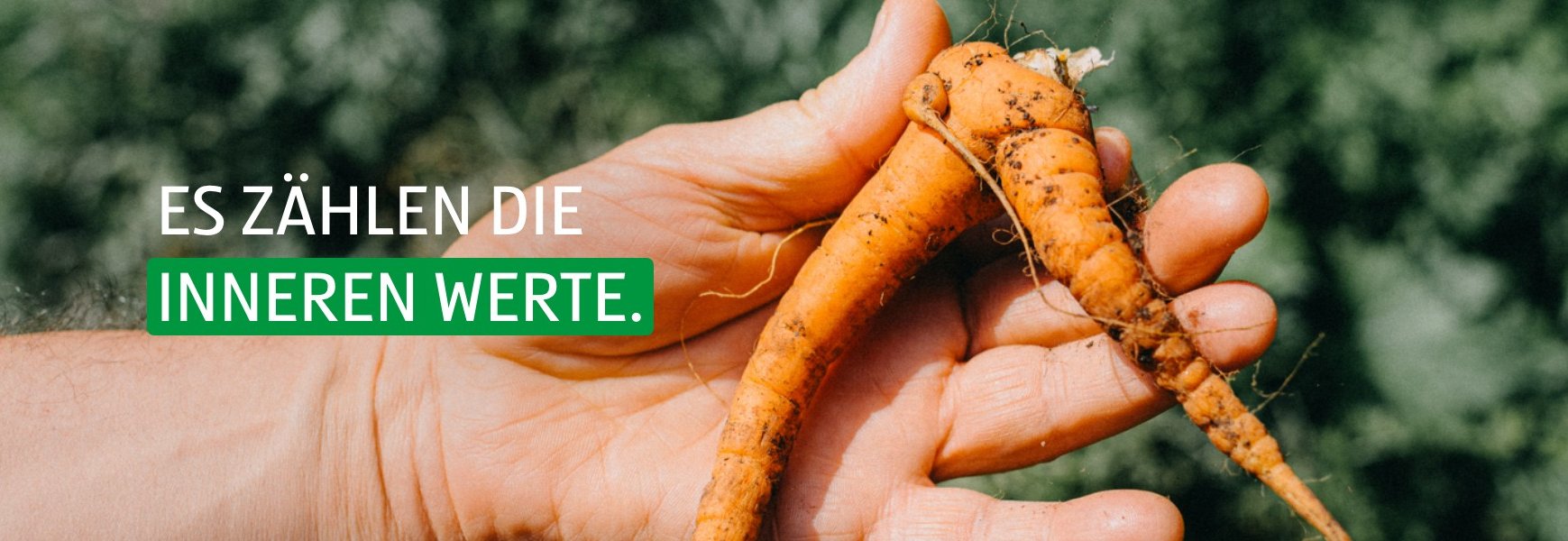 Foto von krumm gewachsenem Gemüse mit der Bildaufschrift "Es zählen die inneren Werte."