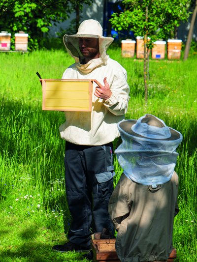Foto von Imker und einem Kind auf einer Wiese