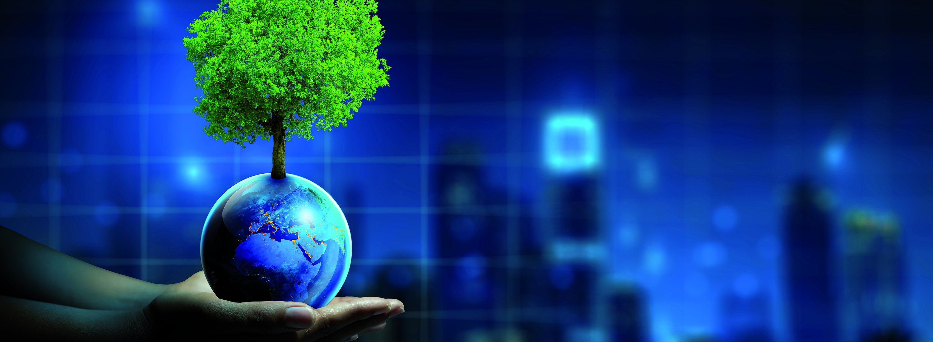 Symbolbild: Hände halten eine Weltkugel in der Hand, auf der ein Baum wächst