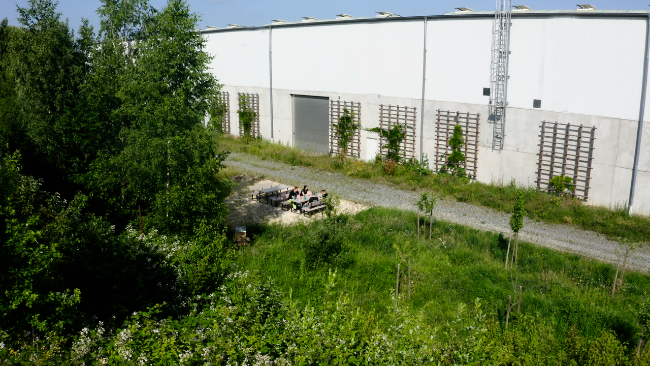 Abbildung von Pausenplatz für Mitarbeiter neben der Streuobstwiese, Fassadenbegrünung und Bienenkasten