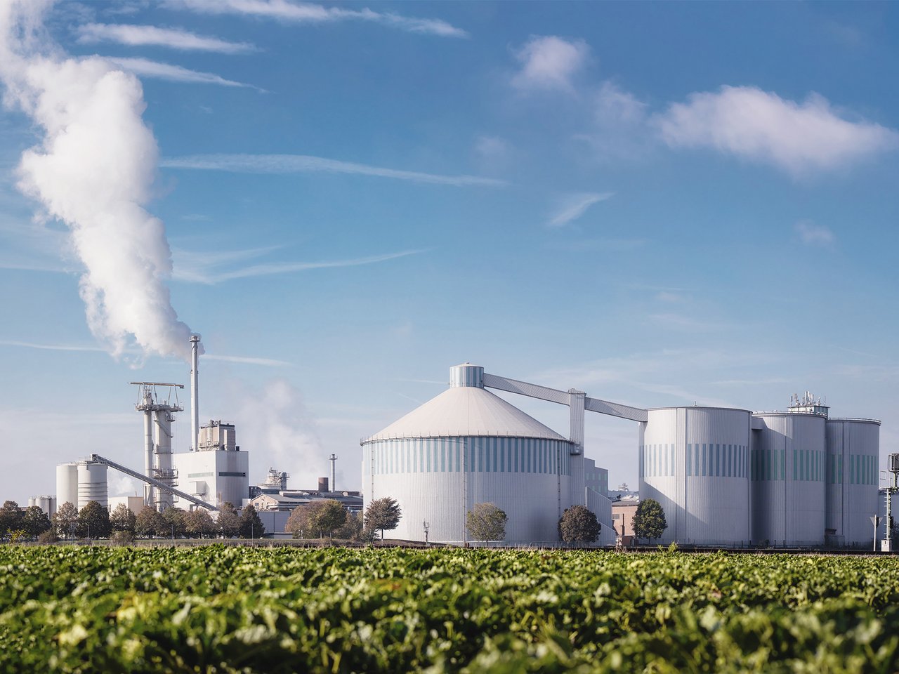 Foto vom Fabrikgebäude